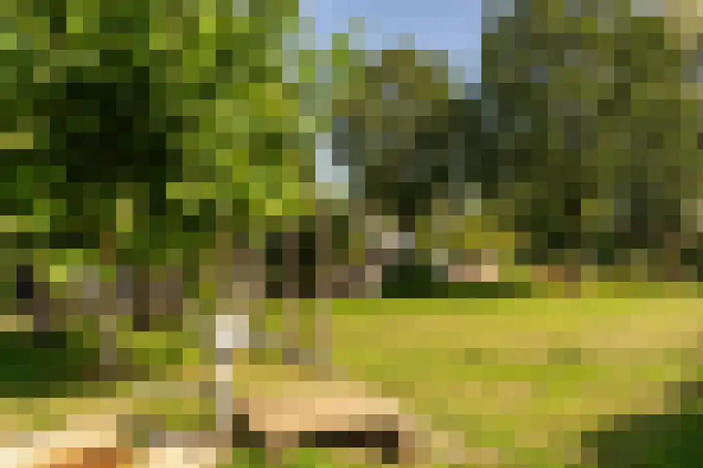 Fluitekamp 125 Hoogland thumbnail 51
