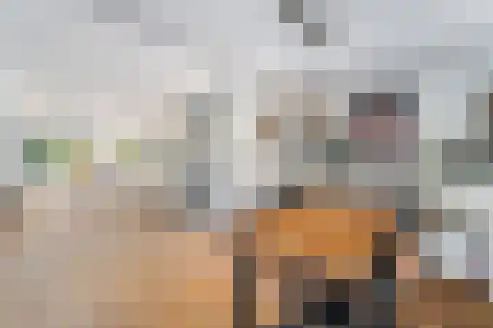 Fluitekamp 130 Hoogland thumbnail 10