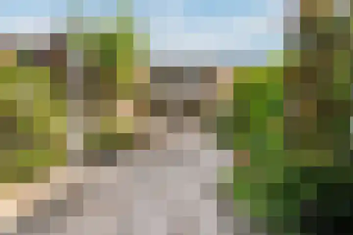 Fluitekamp 130 Hoogland thumbnail 18