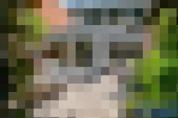 Fluitekamp 130 Hoogland thumbnail 29
