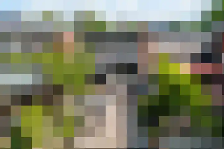 Fluitekamp 130 Hoogland thumbnail 5