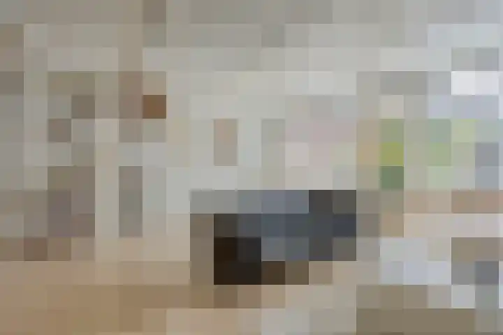 Fluitekamp 141 Hoogland thumbnail 14