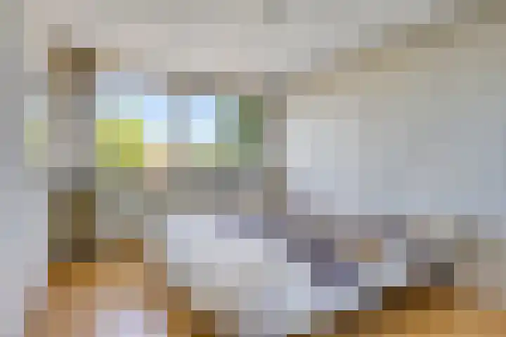 Fluitekamp 141 Hoogland thumbnail 20