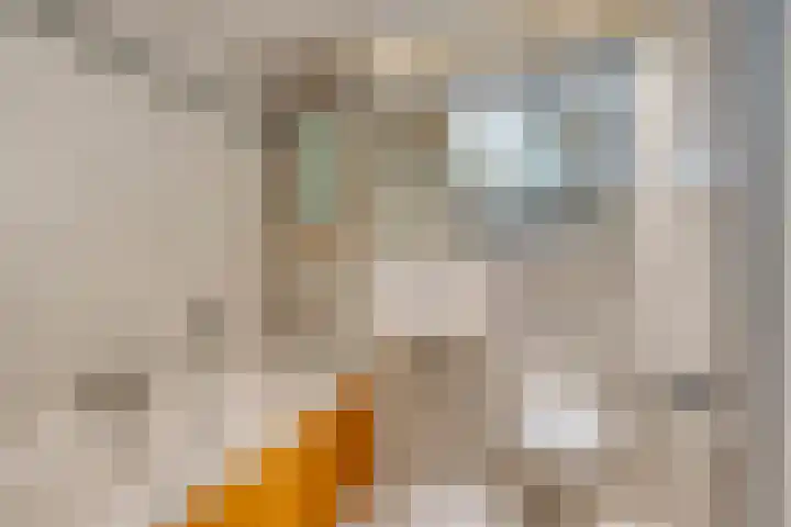 Fluitekamp 141 Hoogland thumbnail 4