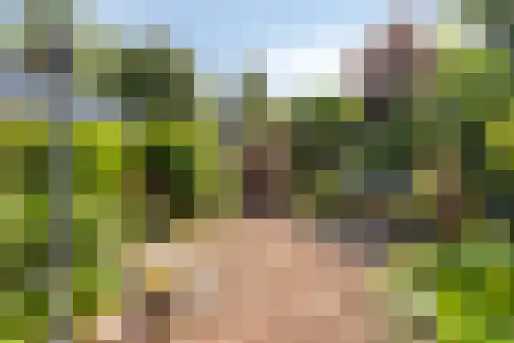Fluitekamp 141 Hoogland thumbnail 5