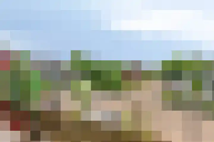 Fluitekamp 21 Hoogland thumbnail 14
