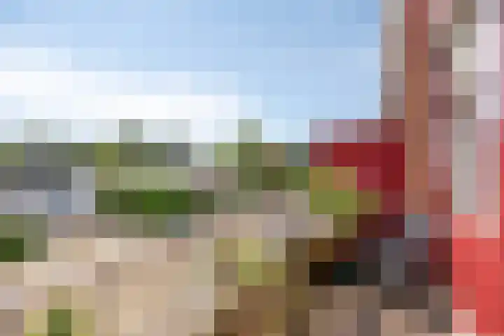 Fluitekamp 21 Hoogland thumbnail 15