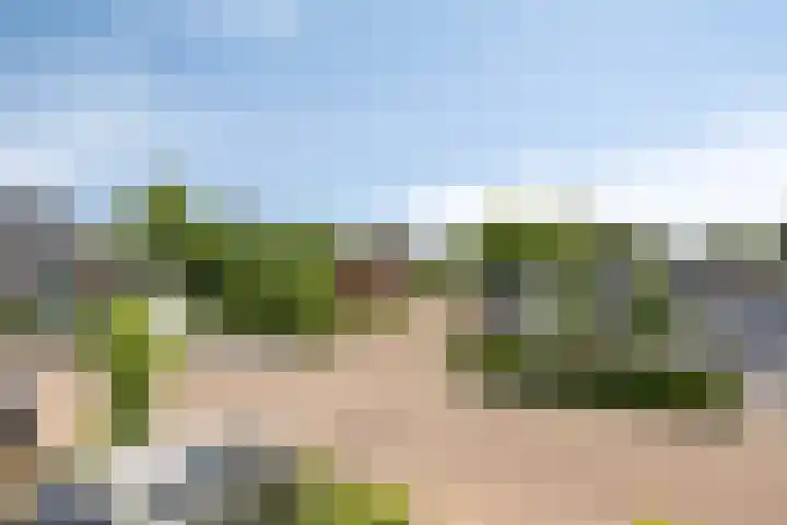 Fluitekamp 21 Hoogland thumbnail 16