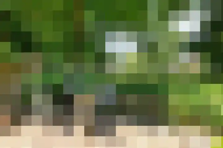 Fluitekamp 21 Hoogland thumbnail 31
