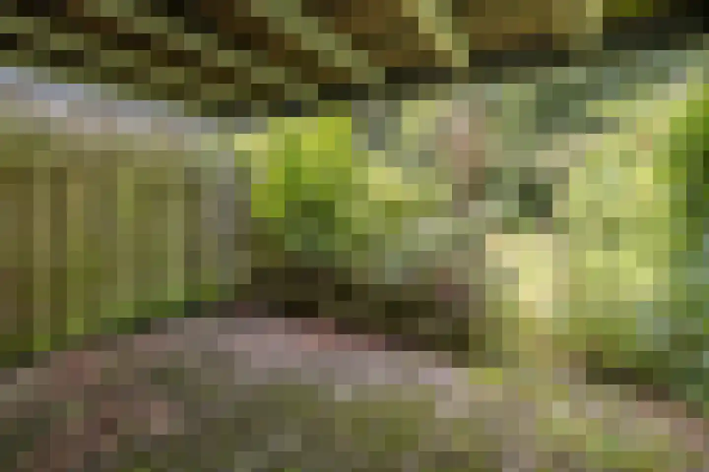 Fluitekamp 39 Hoogland thumbnail 37
