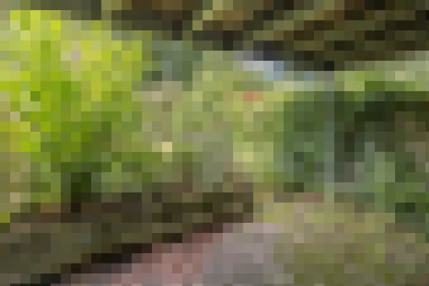 Fluitekamp 39 Hoogland thumbnail 39