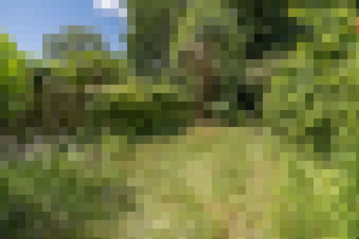 Fluitekamp 39 Hoogland thumbnail 40