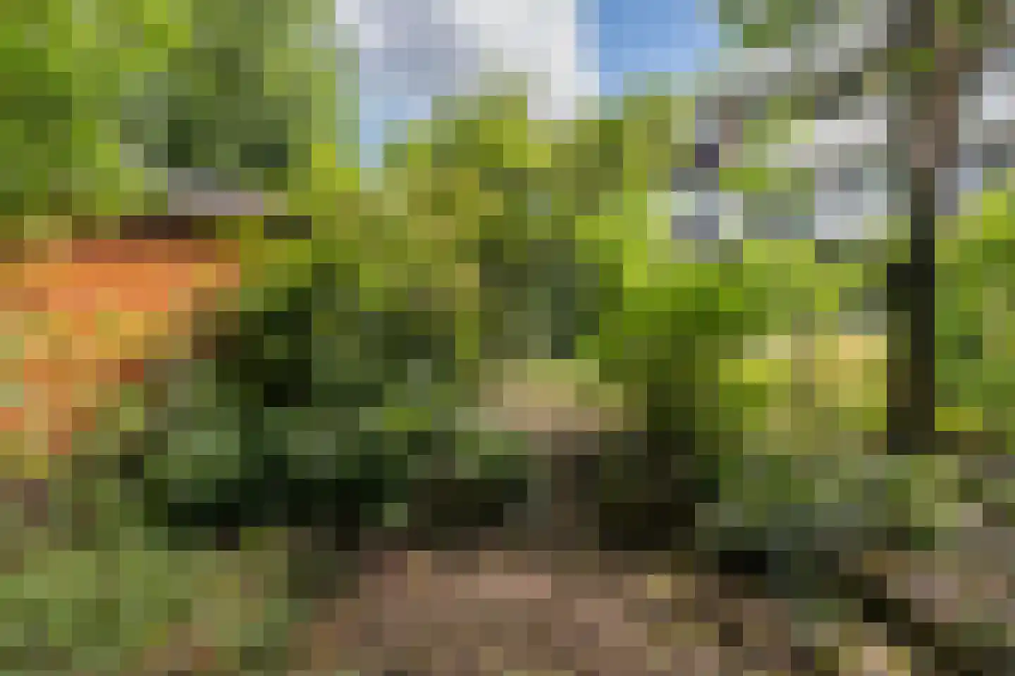 Fluitekamp 39 Hoogland thumbnail 43
