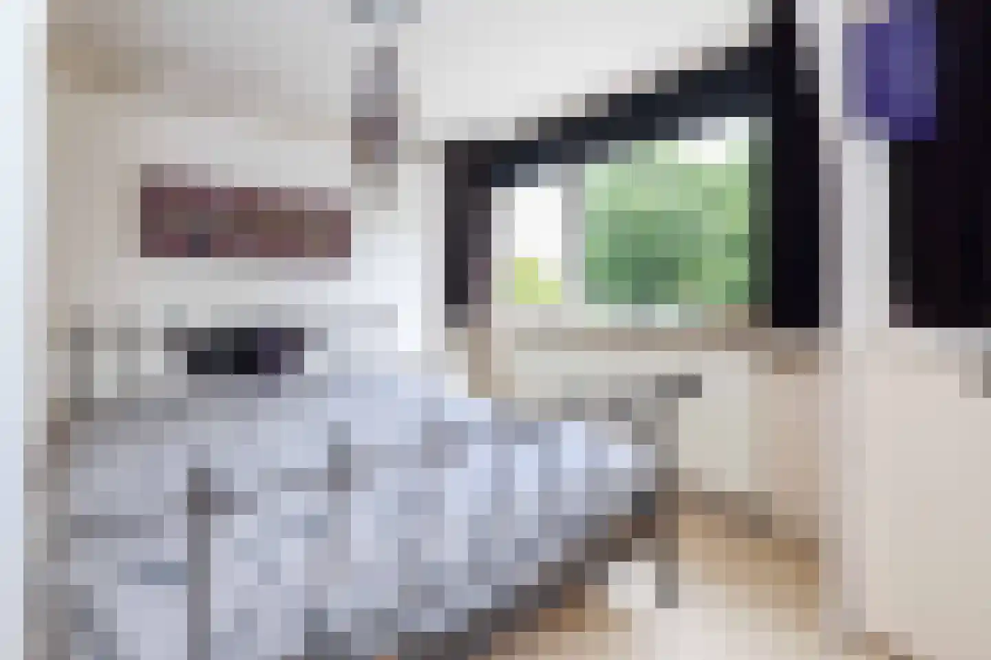 Fluitekamp 8 Hoogland thumbnail 15