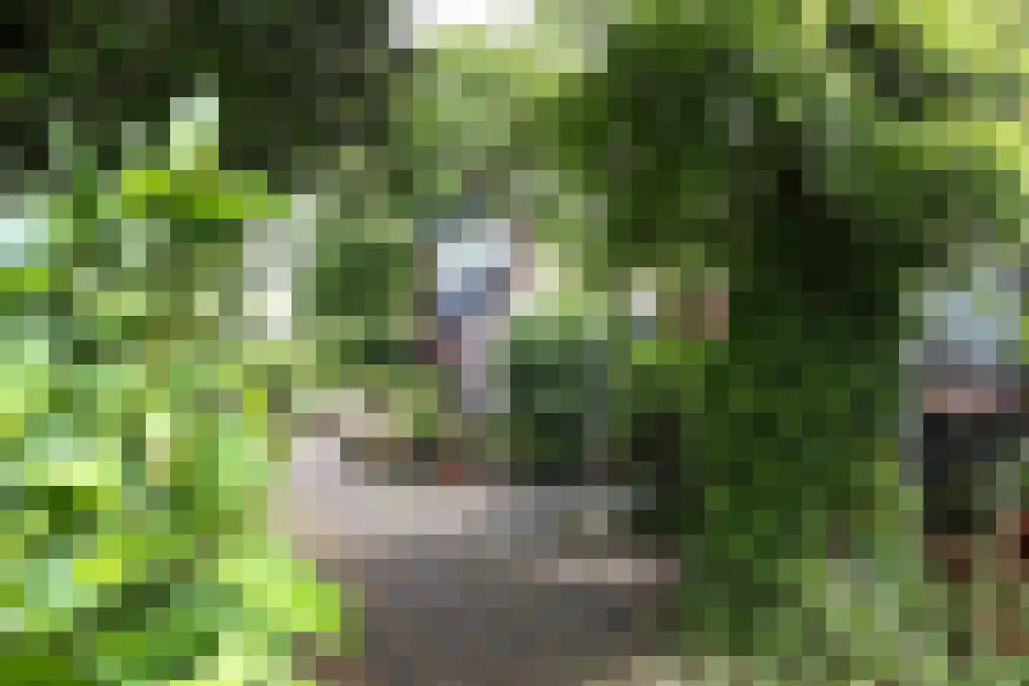 Fluitekamp 8 Hoogland thumbnail 29