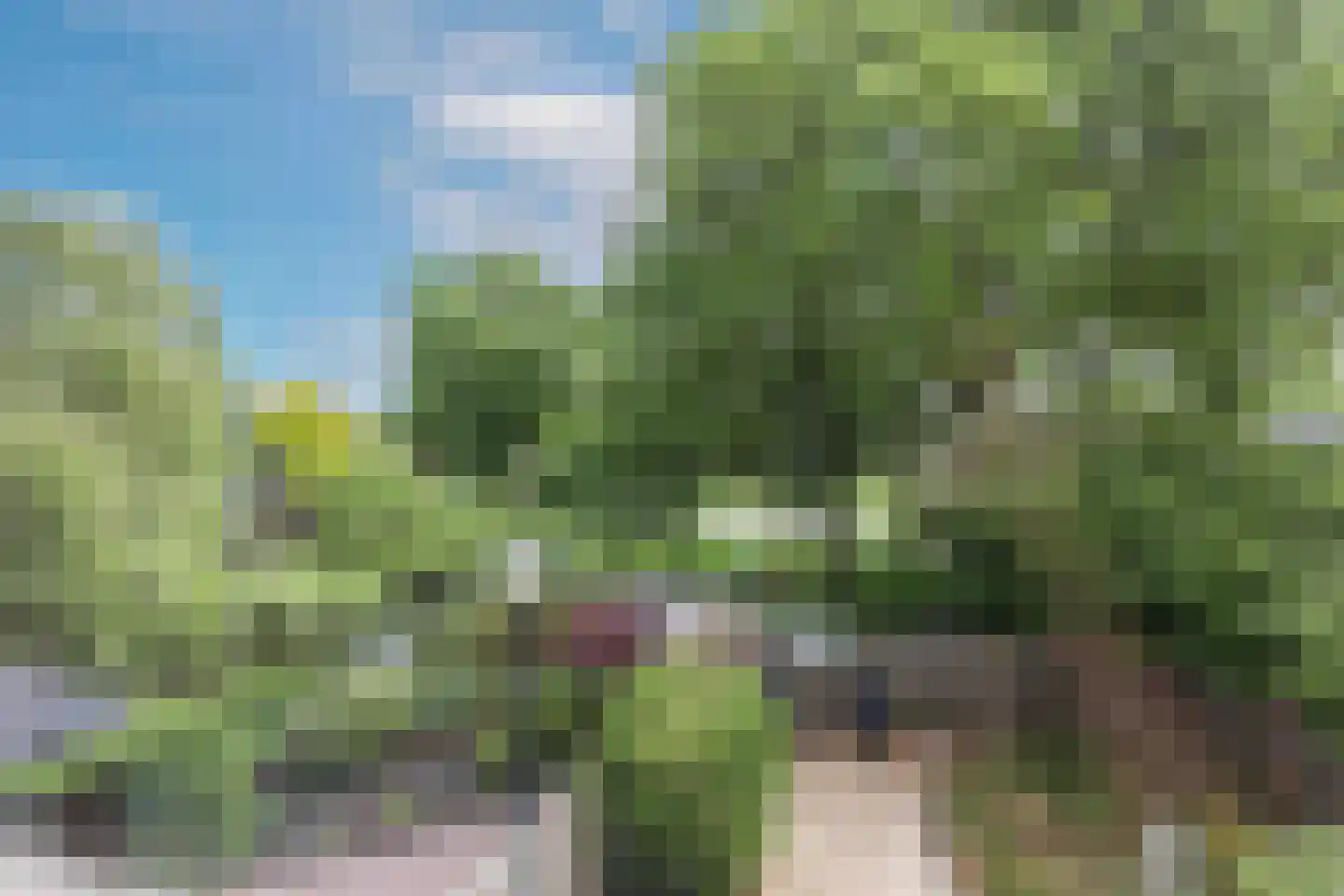 Fluitekamp 8 Hoogland thumbnail 33