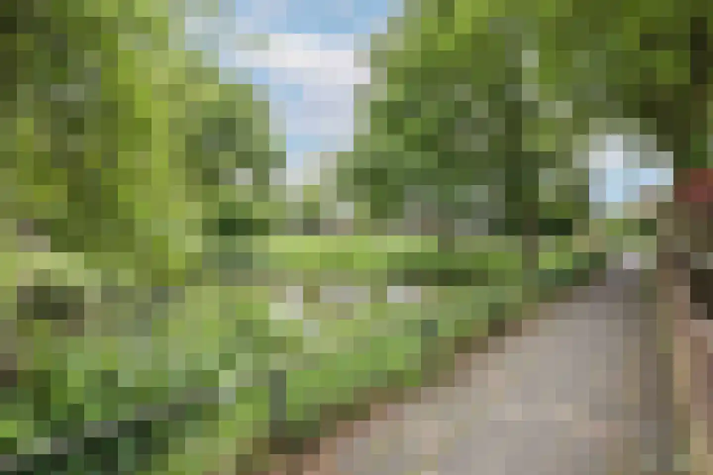 Fluitekamp 8 Hoogland thumbnail 34