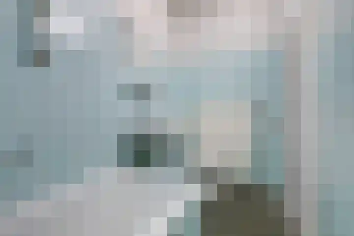 Fluitekamp 87 Hoogland thumbnail 27