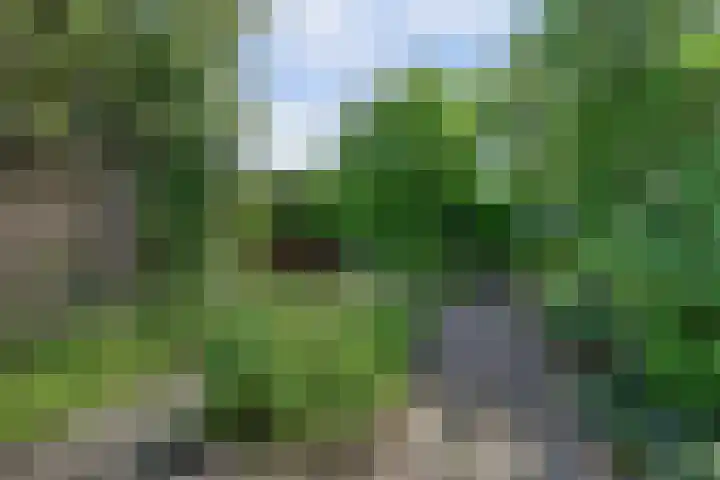 Fluitekamp 87 Hoogland thumbnail 33