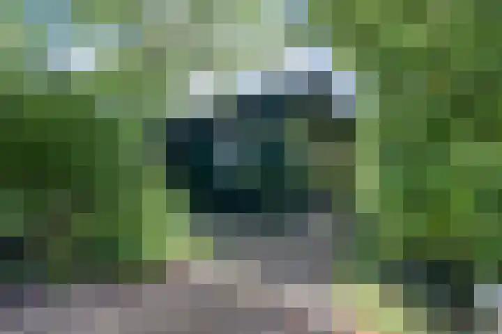 Fluitekamp 87 Hoogland thumbnail 34