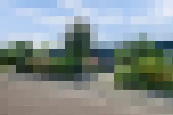Fluitekamp 87 Hoogland thumbnail 38