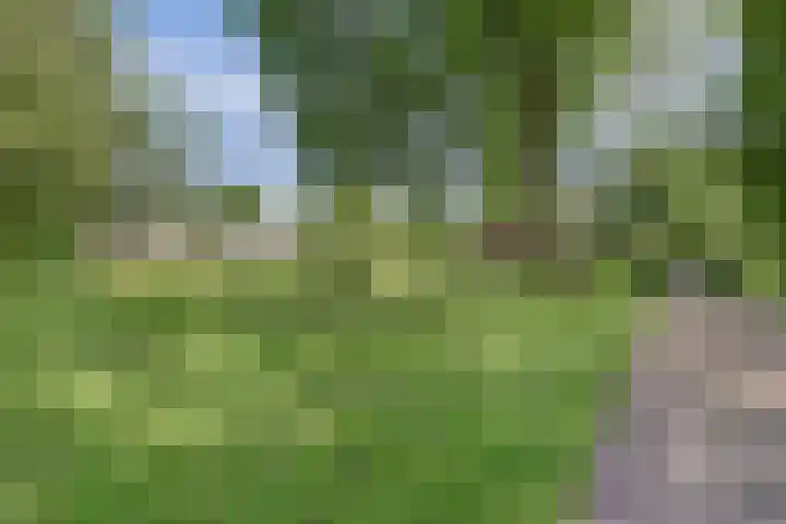 Fluitekamp 87 Hoogland thumbnail 41