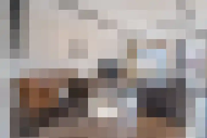 Fluitekruid 11 Bodegraven thumbnail 12