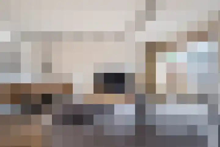 Fluitekruid 11 Bodegraven thumbnail 13