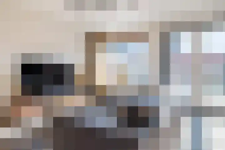 Fluitekruid 11 Bodegraven thumbnail 14