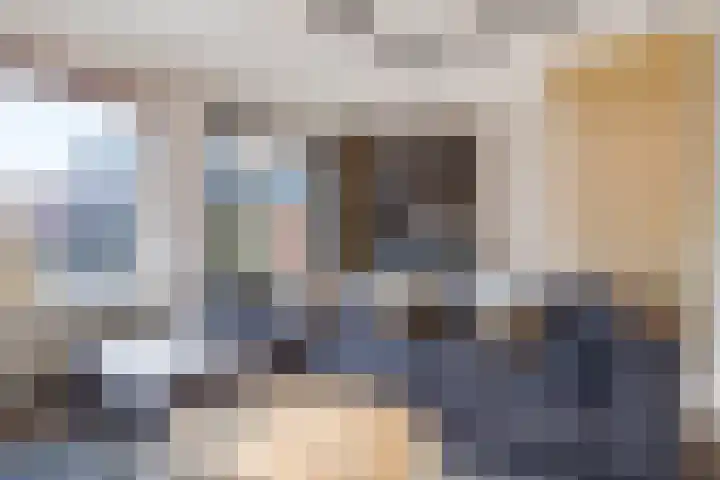 Fluitekruid 11 Bodegraven thumbnail 15