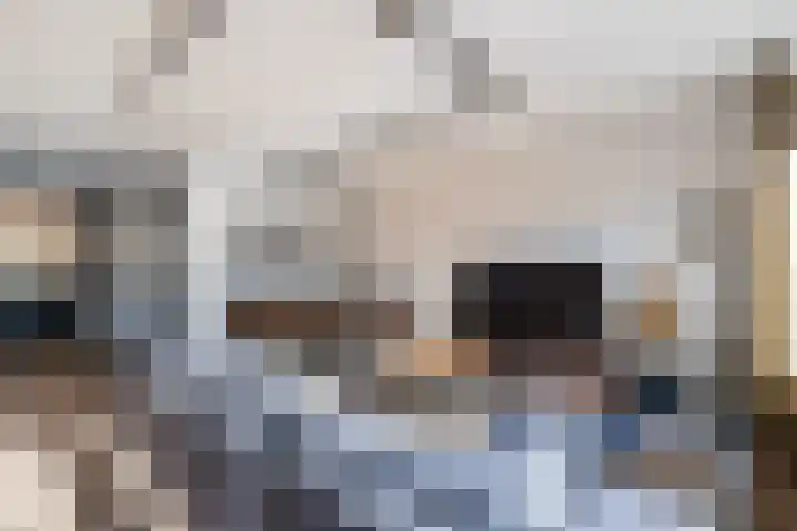 Fluitekruid 11 Bodegraven thumbnail 16