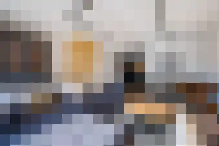 Fluitekruid 11 Bodegraven thumbnail 17