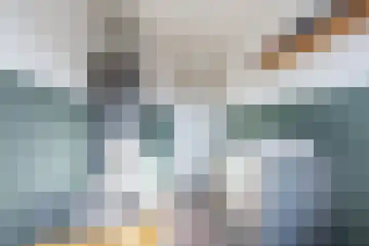 Fluitekruid 11 Bodegraven thumbnail 25