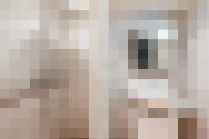 Fluitekruid 11 Bodegraven thumbnail 31