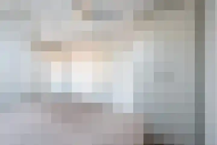 Fluitekruid 11 Bodegraven thumbnail 34