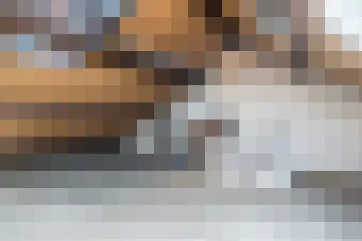 Fluitekruid 11 Bodegraven thumbnail 37