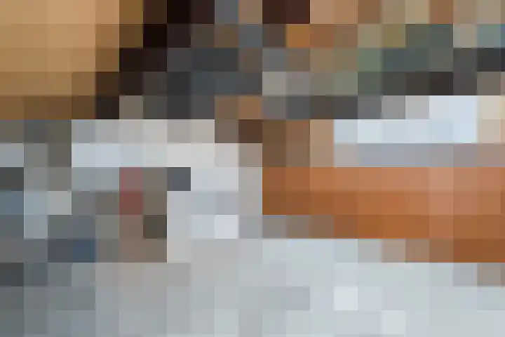 Fluitekruid 11 Bodegraven thumbnail 38