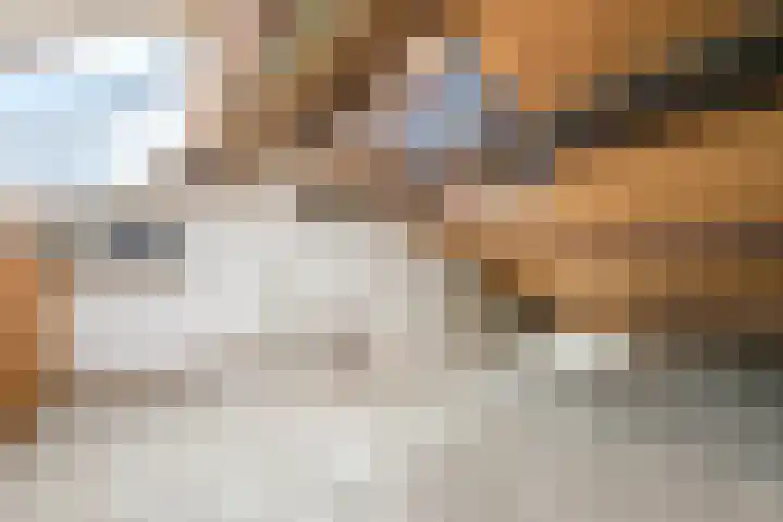 Fluitekruid 11 Bodegraven thumbnail 39