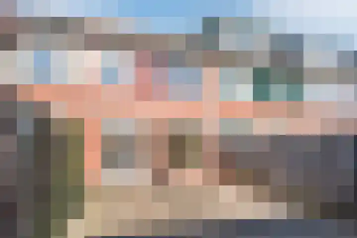 Fluitekruid 11 Bodegraven thumbnail 40