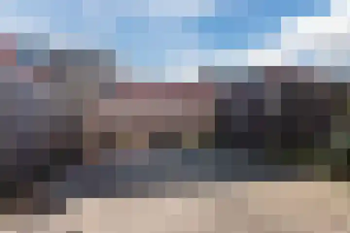 Fluitekruid 11 Bodegraven thumbnail 41
