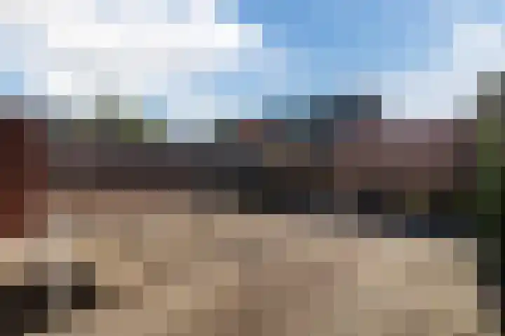 Fluitekruid 11 Bodegraven thumbnail 42