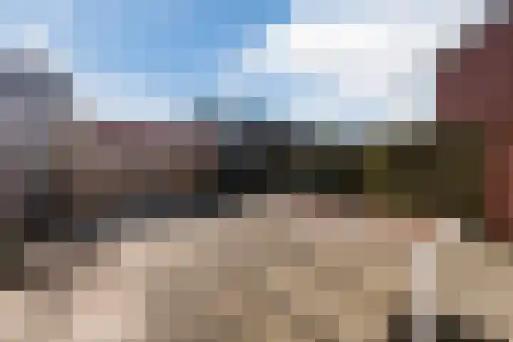 Fluitekruid 11 Bodegraven thumbnail 43