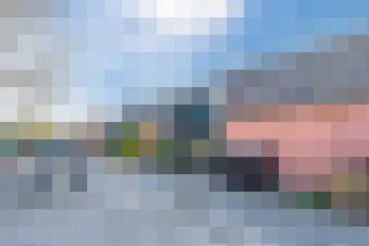 Fluitekruid 11 Bodegraven thumbnail 44