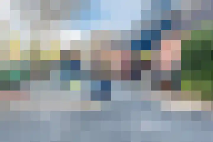 Fluitekruid 11 Bodegraven thumbnail 45