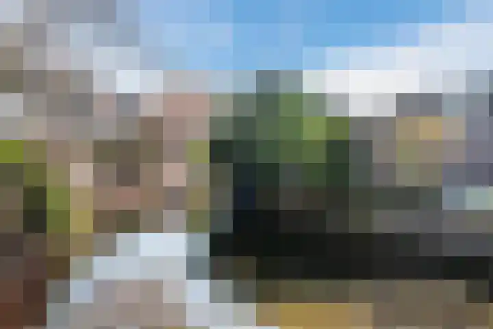 Fluitekruid 11 Bodegraven thumbnail 46