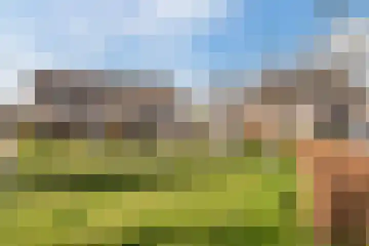 Fluitekruid 11 Bodegraven thumbnail 47