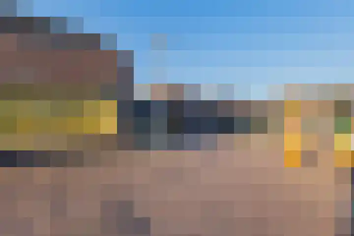Fluitekruid 11 Bodegraven thumbnail 48