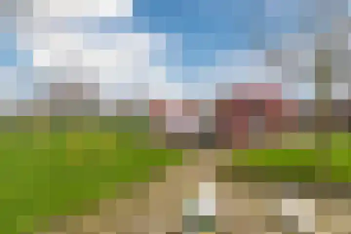 Fluitekruid 11 Bodegraven thumbnail 49