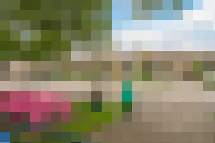 Fluitekruid 11 Bodegraven thumbnail 50