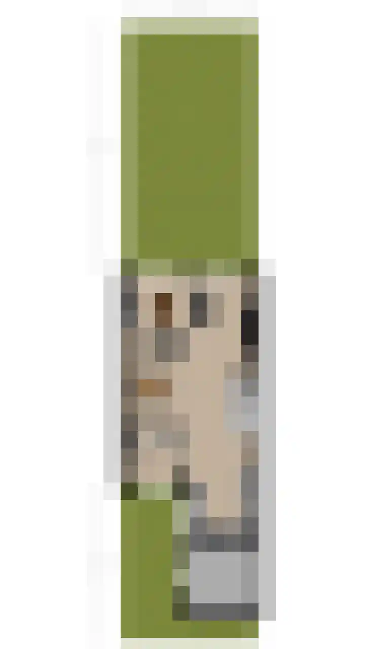 Fluitekruid 11 Bodegraven thumbnail 54